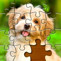 Jigsaw Puzzles: Picture Puzzle Update Download